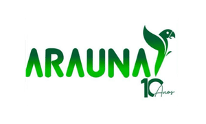 Design sem nome - 2026-06-15T163358.849